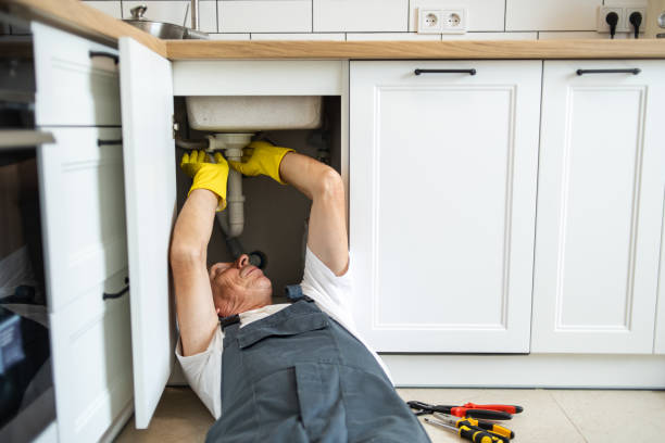 Best Water Softener Installation  in Appleton City, MO