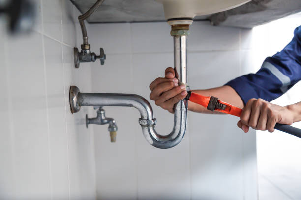 Best Affordable Plumbing Services  in Appleton City, MO