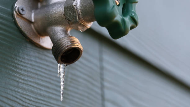Best Emergency Plumber  in Appleton City, MO