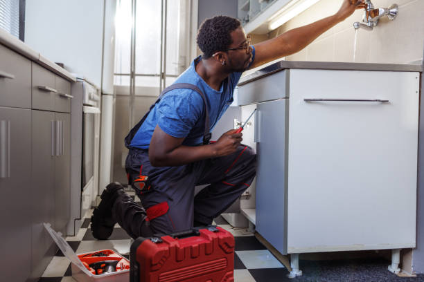 Best Hot Water Heater Installation  in Appleton City, MO
