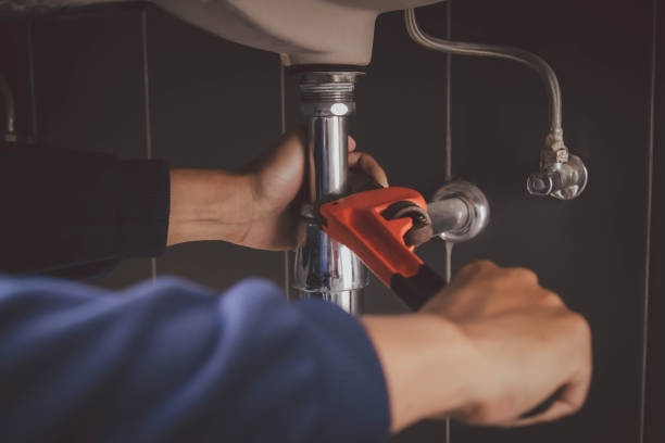 Best Residential Plumbing Services  in Appleton City, MO